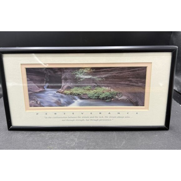 Successories PERSEVERANCE Motivational Professionally Framed Print - Picture 1 of 5